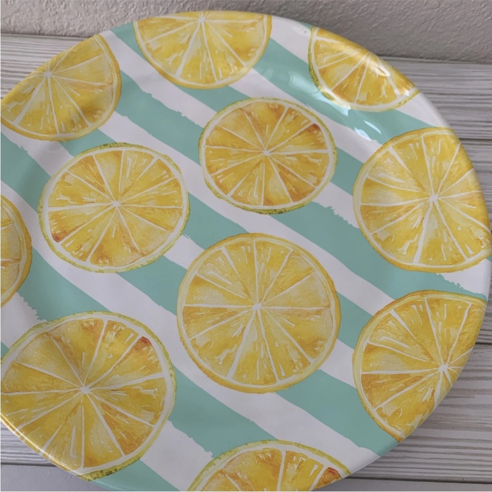 Fruit Slices Melamine Dinner Plates Orange Green Citrus Set of 4 Outdoor Summer